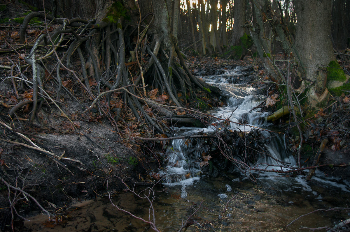 _IMG4379 copy.jpg